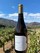 Chardonnay-2021 Soberanes Vineyard - View 2