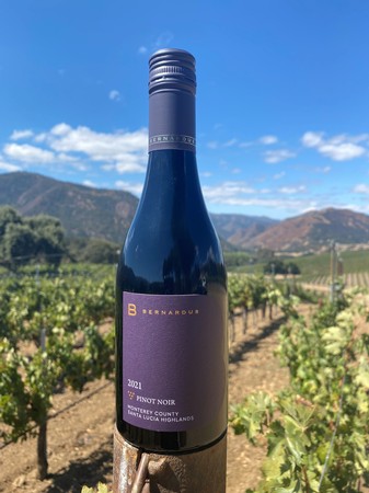 Pinot Noir-2021 SLH 375ml