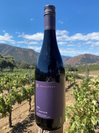 Pinot Noir-2021 Santa Lucia Highlands